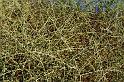 20090603_153546 D3 X1